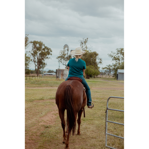 La Teoria Polivagale per Bambini – Quaderno di Esercizi per la Regolazione del Sistema Nervoso | Strumento per la Regolazione Emotiva